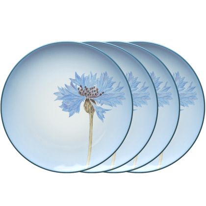 Noritake Colorwave Blue Cornflower Set of 4 Floral Accent Plates