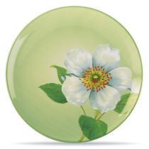 Accent/Luncheon Plate, Floral, 8 1/4" (Climbing Rose)
